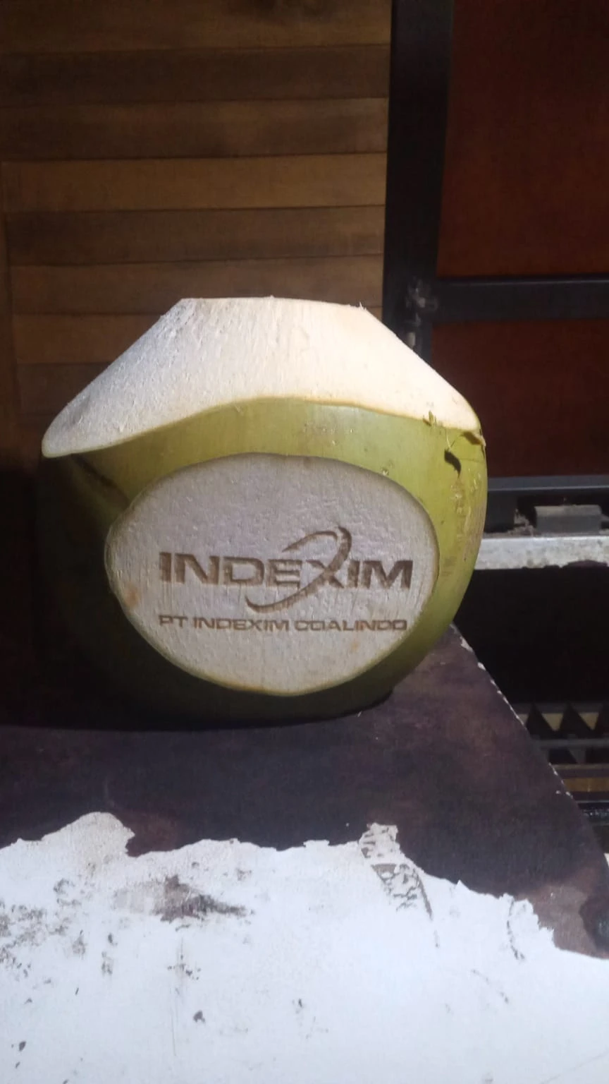 Bali Coconut Art