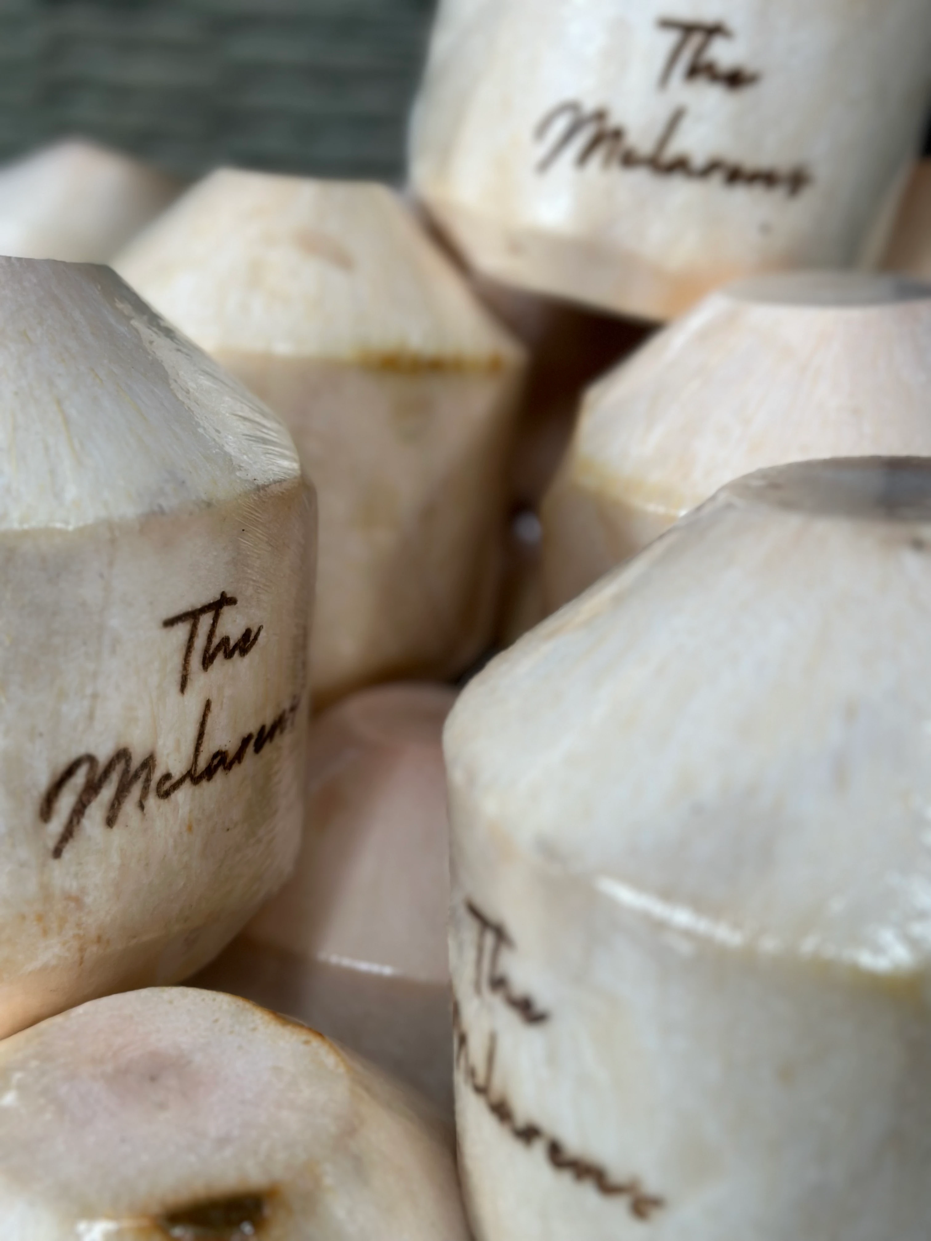 Bali Coconut Art