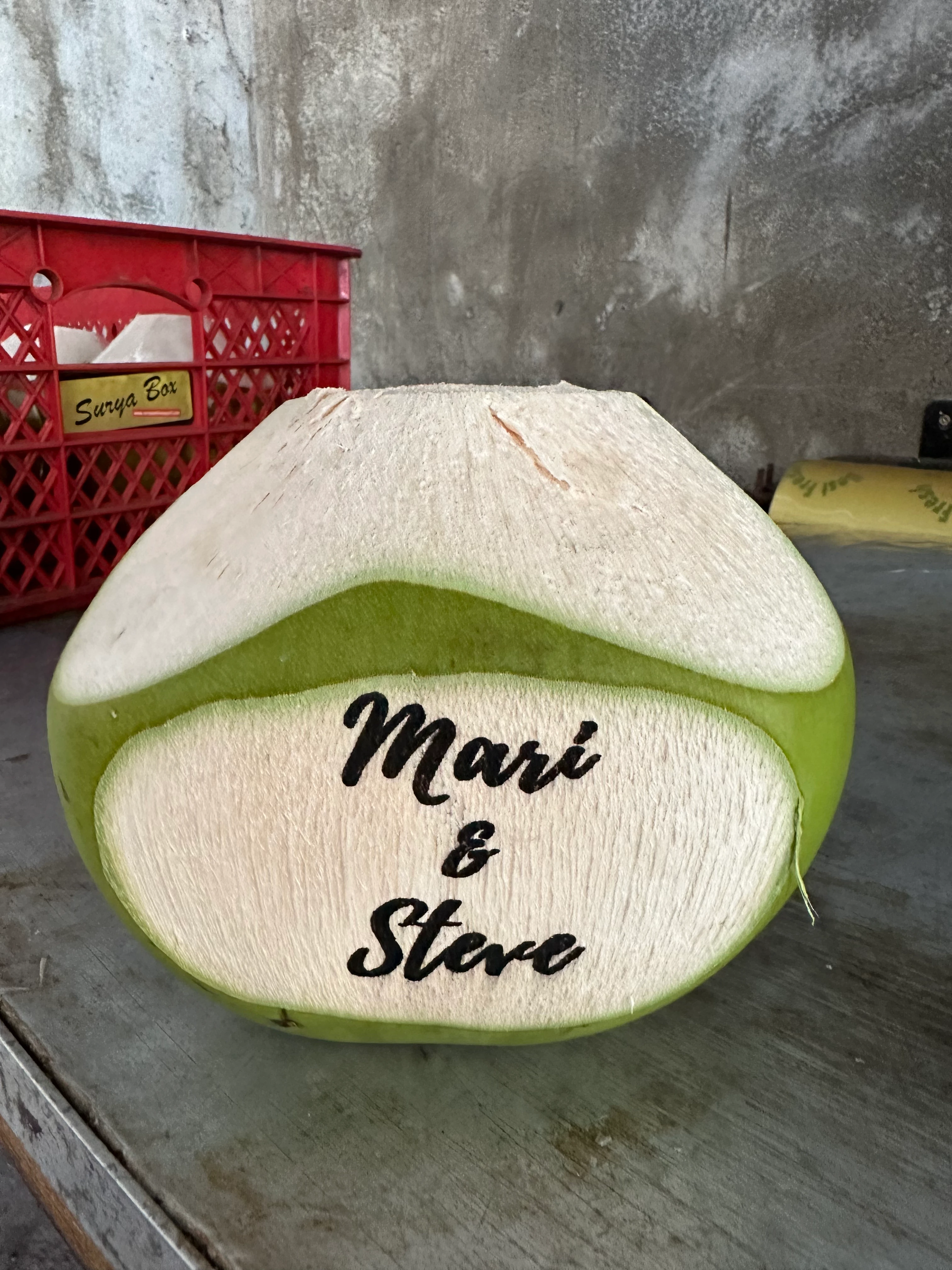 Bali Coconut Art